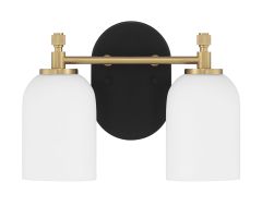 The Council - 60302-FBSB is a modern wall sconce with two white frosted glass shades, a gold-colored metal frame with satin brass accents, and an oval black base. Its design is minimalistic and sophisticated.