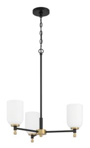 The Council - 60323-FBSB chandelier features a black metal frame, three cylindrical frosted glass shades, a vertical rod on a round canopy with chain, and satin brass accents on the lamp holders.