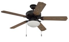 The Enduro Plastic Indoor|Outdoor Fan - END52xxx5PC1 includes a dark metal fixture, five wooden blades, an optional light kit with a frosted glass cover, and two elegant pull chains.